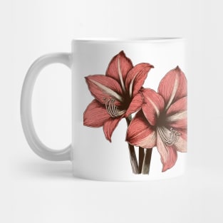 Two Pair Of Amaryllis Flowers Mug